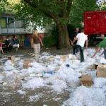 08140087_G.sized