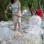 08140163_G.sized