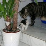 06220002_G.sized