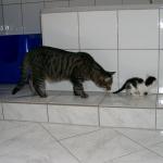 06220006_G.sized