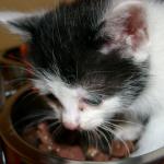06220021_G.sized