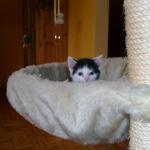 06260010_G.sized
