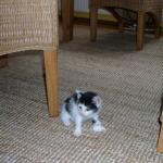 06260020_G.sized