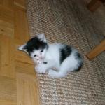 06260022_G.sized