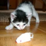 06260023_G.sized
