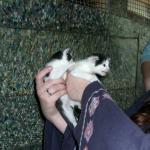 06060123_G.sized