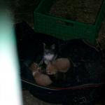 06060145_G.sized
