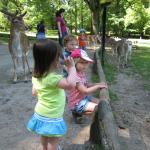 IMG_8558