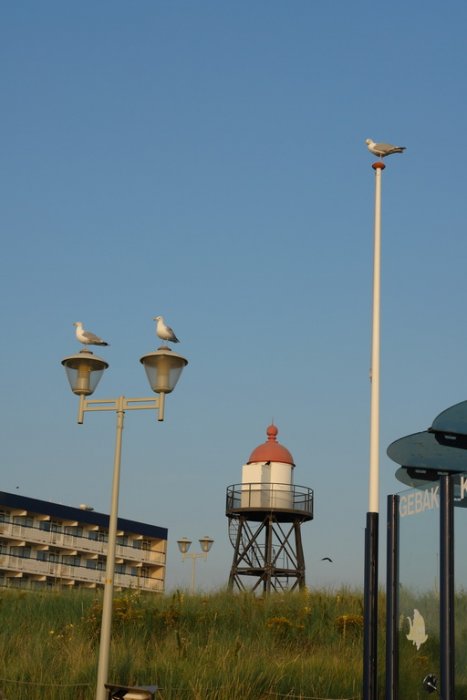 DSC01611