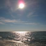 IMG_8121